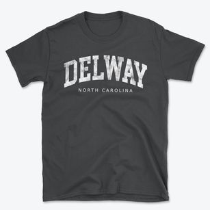 Delway North Carolina Urban Vibe Basic T-Shirt