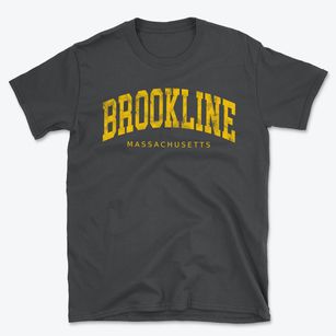 Brookline Massachusetts Urban Vibe Basic T-Shirt