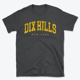 Dix Hills New York Urban Vibe Basic T-Shirt