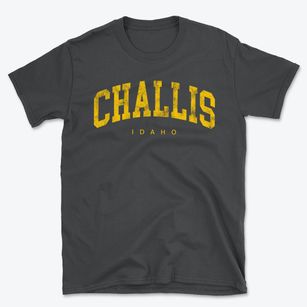 Challis Idaho Urban Vibe Basic T-Shirt