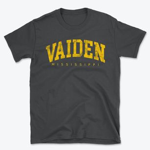 Vaiden Mississippi Urban Vibe Basic T-Shirt
