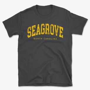 Seagrove North Carolina Urban Vibe Basic T-Shirt