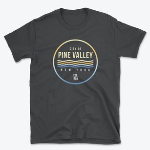 Pine Valley New York Color Fade Basic T-Shirt
