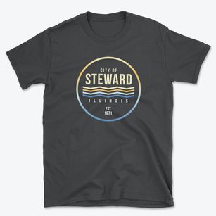 Steward Illinois Color Fade Basic T-Shirt