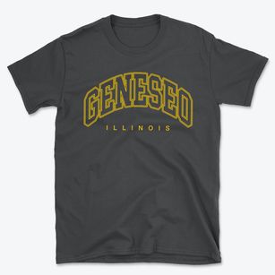 Geneseo Illinois Inline Basic T-Shirt