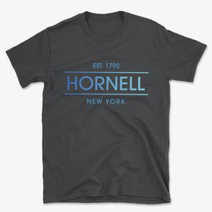 Hornell New York Horizon Basic T-Shirt