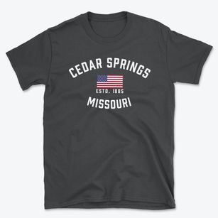 Cedar Springs Missouri Patriot Basic T-Shirt