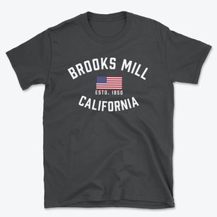 Brooks Mill California Patriot Basic T-Shirt