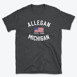 Allegan Michigan Patriot Basic T-Shirt