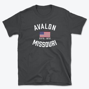 Avalon Missouri Patriot Basic T-Shirt