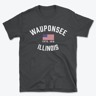 Wauponsee Illinois Patriot Basic T-Shirt
