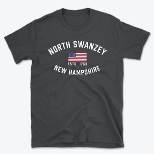 North Swanzey New Hampshire Patriot Basic T-Shirt