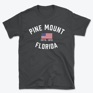 Pine Mount Florida Patriot Basic T-Shirt