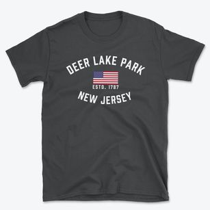 Deer Lake Park New Jersey Patriot Basic T-Shirt