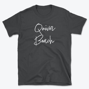 Quiver Beach Illinois Freestyle Basic T-Shirt