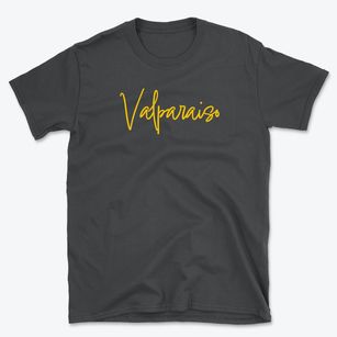 Valparaiso Indiana Freestyle Basic T-Shirt