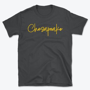 Chesapeake West Virginia Freestyle Basic T-Shirt