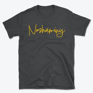 Neshaminy Pennsylvania Freestyle Basic T-Shirt