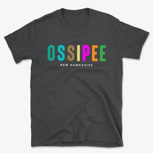 Ossipee New Hampshire Color Pop Basic T-Shirt