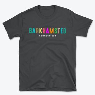 Barkhamsted Connecticut Color Pop Basic T-Shirt