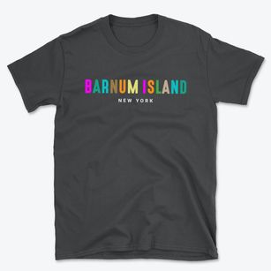 Barnum Island New York Color Pop Basic T-Shirt