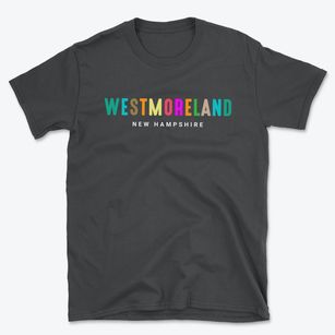 Westmoreland New Hampshire Color Pop Basic T-Shirt