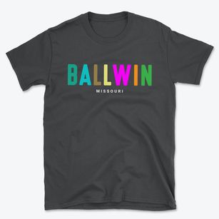 Ballwin Missouri Color Pop Basic T-Shirt