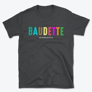Baudette Minnesota Color Pop Basic T-Shirt