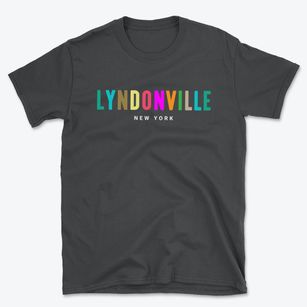 Lyndonville New York Color Pop Basic T-Shirt