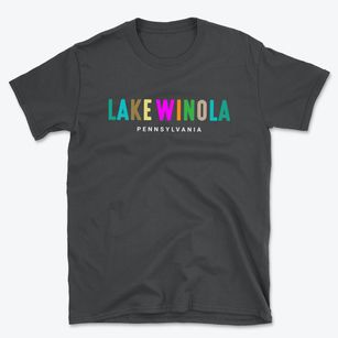 Lake Winola Pennsylvania Color Pop Basic T-Shirt
