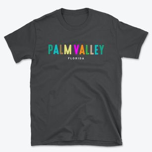 Palm Valley Florida Color Pop Basic T-Shirt