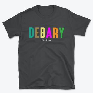 Debary Florida Color Pop Basic T-Shirt