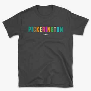 Pickerington Ohio Color Pop Basic T-Shirt