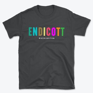 Endicott Washington Color Pop Basic T-Shirt