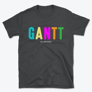 Gantt Alabama Color Pop Basic T-Shirt