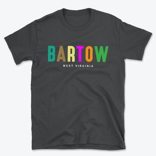 Bartow West Virginia Color Pop Basic T-Shirt