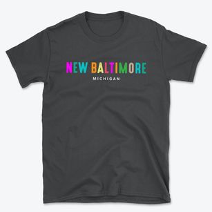 New Baltimore Michigan Color Pop Basic T-Shirt