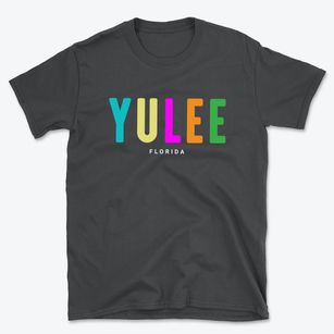 Yulee Florida Color Pop Basic T-Shirt