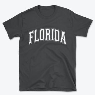  Florida Varsity State Basic T-Shirt