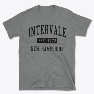 Intervale New Hampshire Classic Established Basic T-Shirt