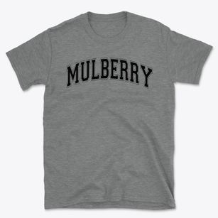 Mulberry Elementary School Varsity Arch Basic T-Shirt
