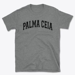 Palma Ceia Elementary School Varsity Arch Basic T-Shirt