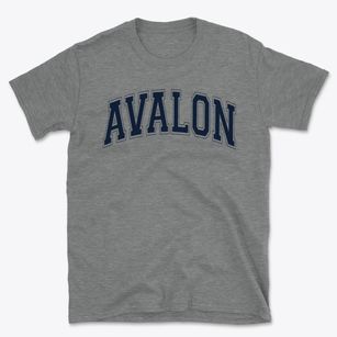 Avalon Elementary School Varsity Arch Basic T-Shirt