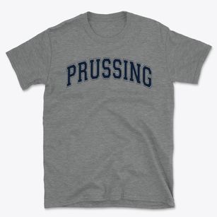 Prussing Elementary School Varsity Arch Basic T-Shirt