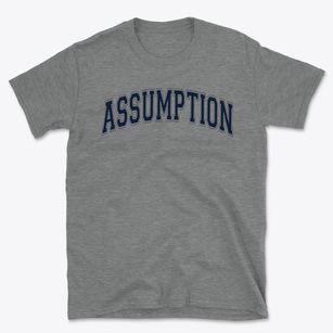 Assumption Alternative Middle School Varsity Arch Basic T-Shirt
