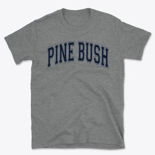 Pine Bush High School Varsity Arch Basic T-Shirt
