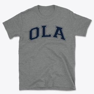 Our Lady The Assumption School Varsity Arch Basic T-Shirt