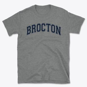 Brocton Central School Varsity Arch Basic T-Shirt