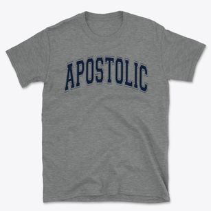 Apostolic Christian Academy Varsity Arch Basic T-Shirt