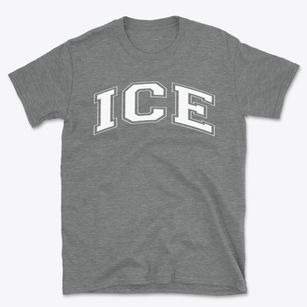 Institute Of Collaborative Education Varsity Arch Basic T-Shirt